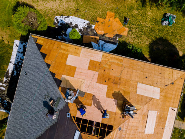 Best Flat Roof Repair Services  in Bourbonnais, IL